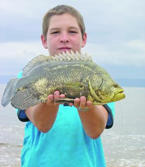 Young angler, Curtis Hober, fishes Wonga Beach regularly and was recently rewarded with a rare catch of a smashing jumping cod (or triple tail).